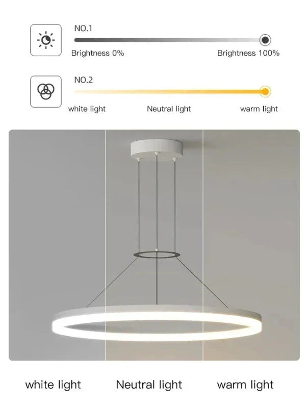 LichtLuxe Moderne Pendelleuchte für stilvolle Räume