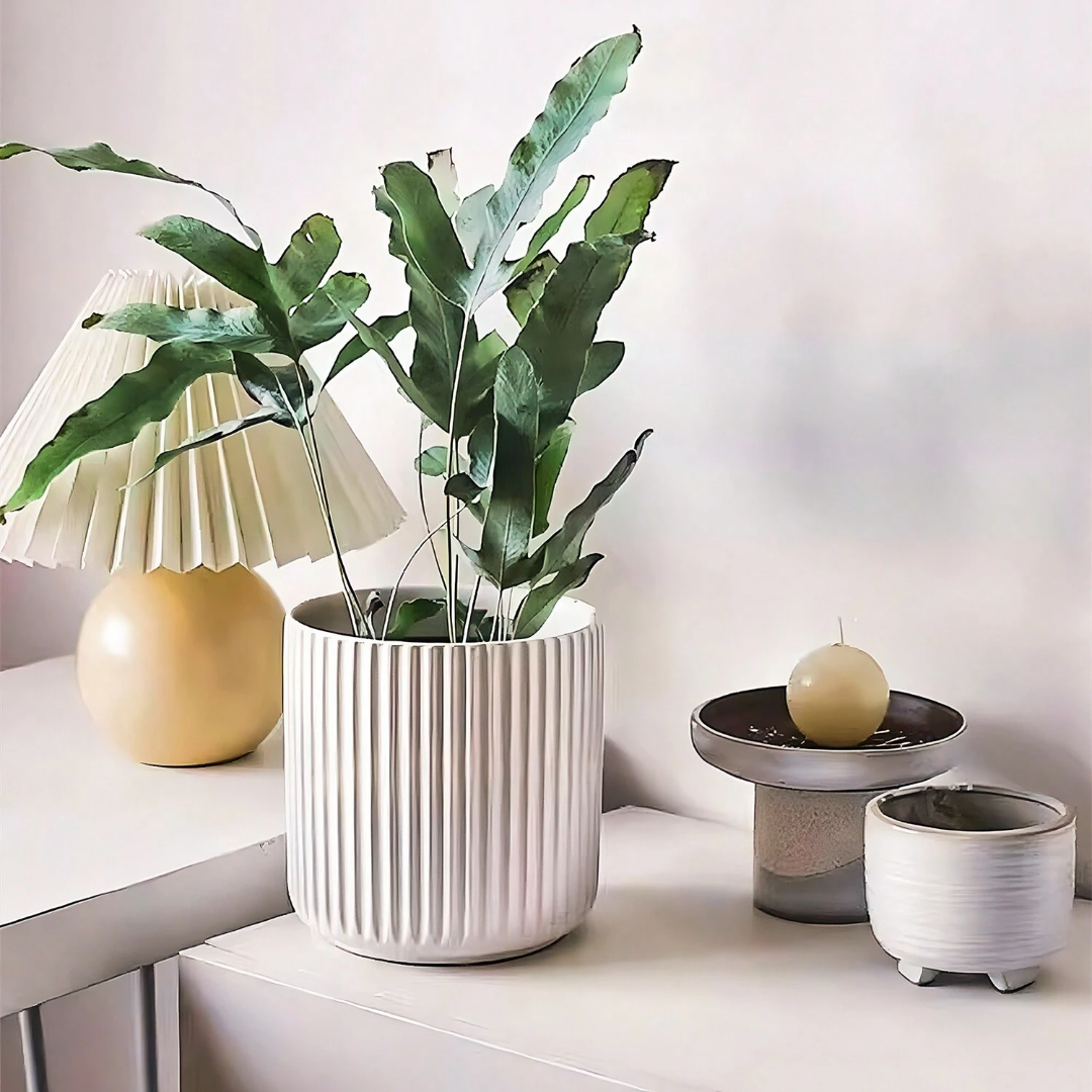 NaturePot Zeitgemäßer Blumentopf aus Kunststoff – Für drinnen und draußen